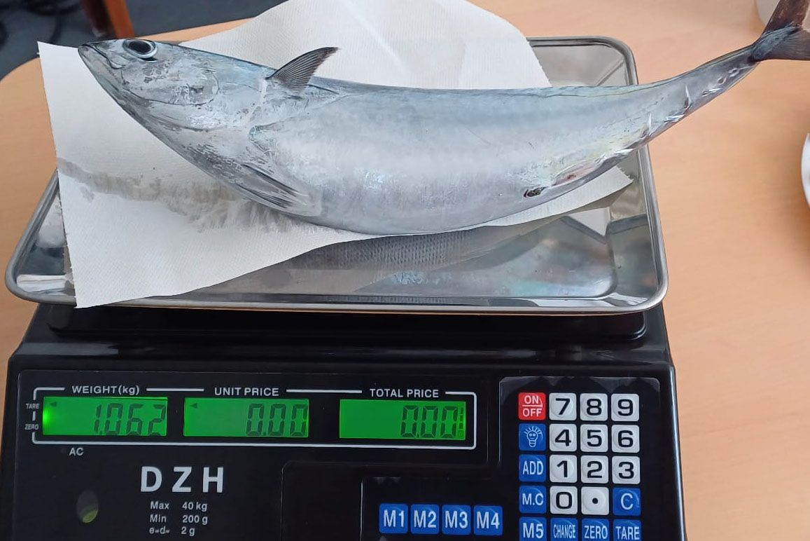 Le moment de vérité: 1,062 kg !