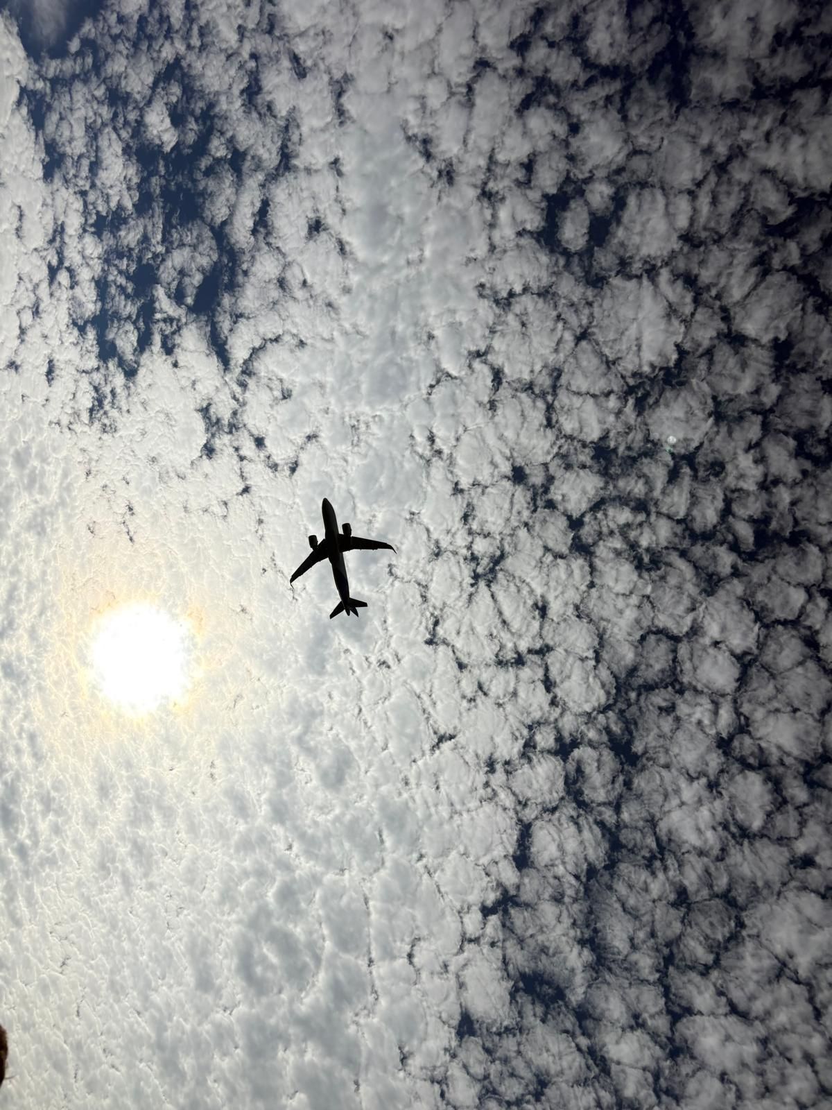 Photo de Ludivine et Dorian